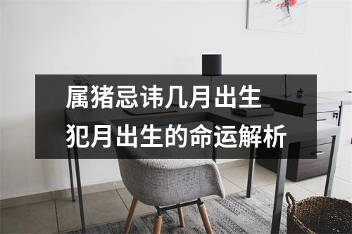 属猪忌讳几月出生犯月出生的命运解析