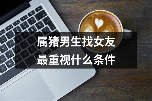 属猪男生找女友重视什么条件