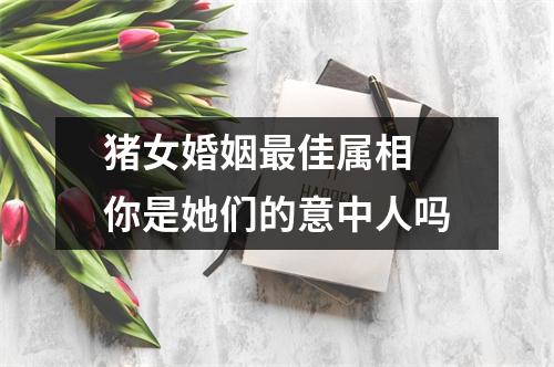 猪女婚姻佳属相你是她们的意中人吗