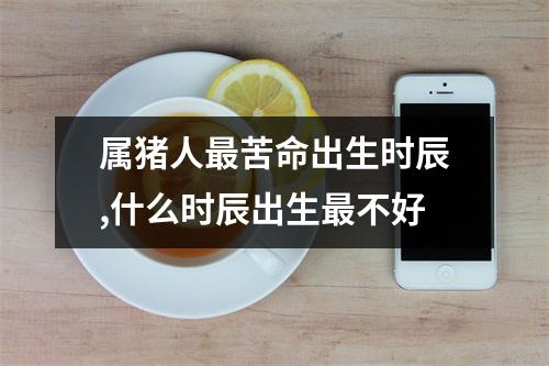 属猪人苦命出生时辰,什么时辰出生不好