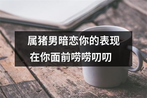 属猪男暗恋你的表现在你面前唠唠叨叨