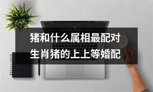 猪和什么属相配对生肖猪的上上等婚配