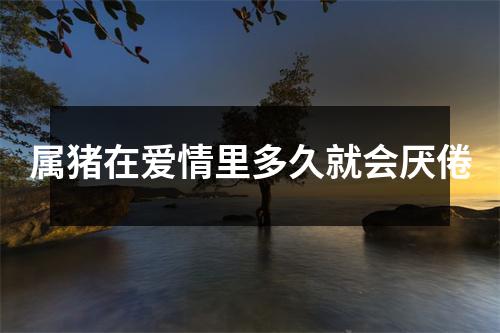 属猪在爱情里多久就会厌倦