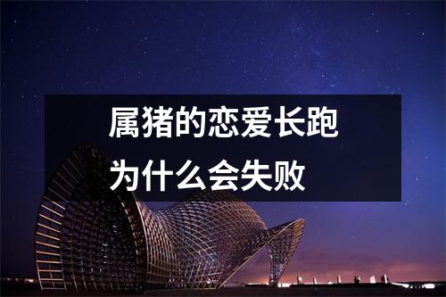 属猪的恋爱长跑为什么会失败