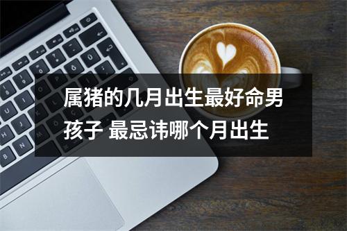属猪的几月出生好命男孩子忌讳哪个月出生