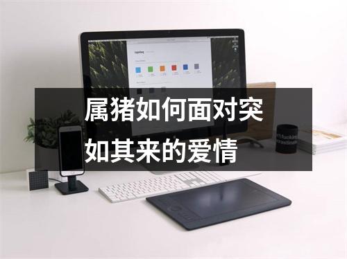 属猪如何面对突如其来的爱情