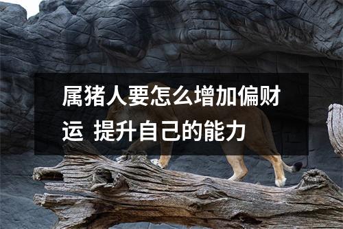 属猪人要怎么增加偏财运提升自己的能力