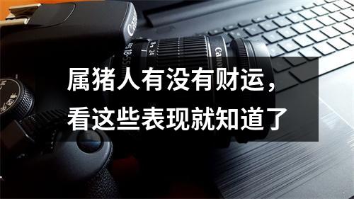 属猪人有没有财运，看这些表现就知道了