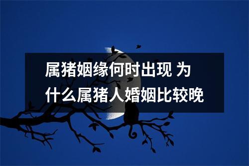 属猪姻缘何时出现为什么属猪人婚姻比较晚