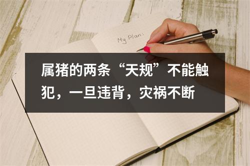 属猪的两条“天规”不能触犯，一旦违背，灾祸不断