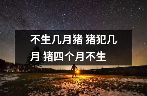 不生几月猪猪犯几月猪四个月不生