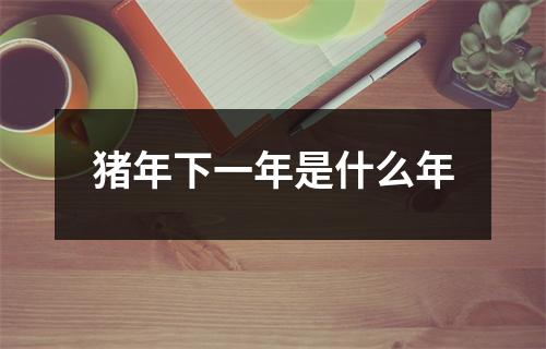 猪年下一年是什么年