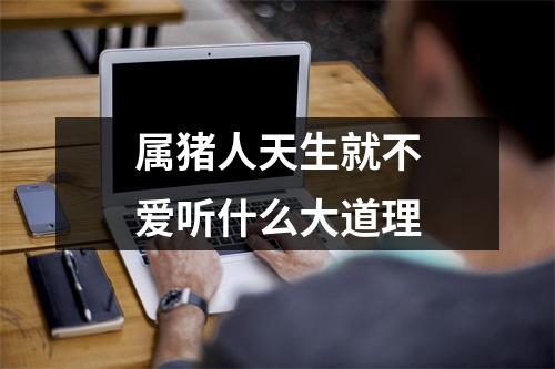 属猪人天生就不爱听什么大道理