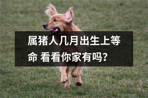 属猪人几月出生上等命看看你家有吗？