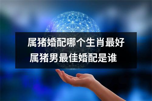 属猪婚配哪个生肖好属猪男佳婚配是谁