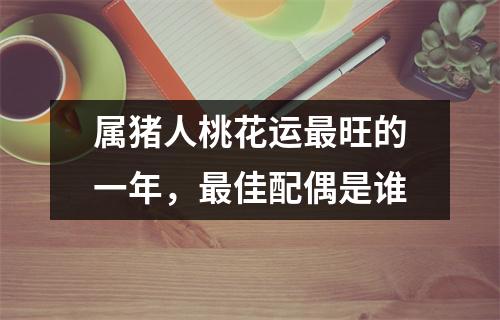 属猪人桃花运旺的一年，佳配偶是谁