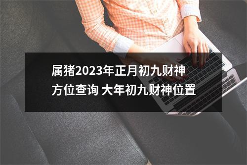 属猪2025年正月初九财神方位查询大年初九财神位置