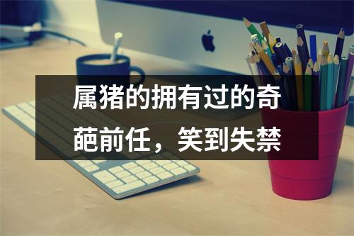 属猪的拥有过的奇葩前任，笑到失禁