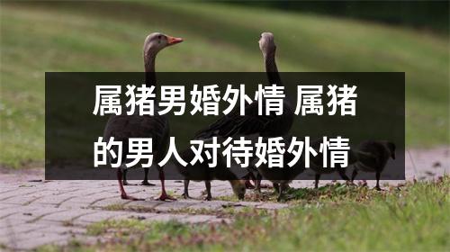 属猪男婚外情属猪的男人对待婚外情