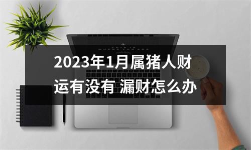 2025年1月属猪人财运有没有漏财怎么办