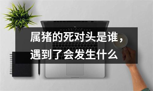 属猪的死对头是谁，遇到了会发生什么