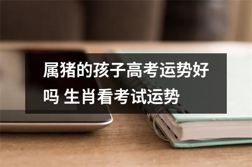 属猪的孩子高考运势好吗生肖看考试运势