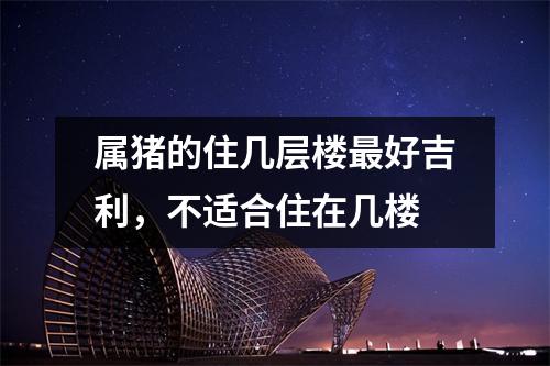 属猪的住几层楼好吉利，不适合住在几楼