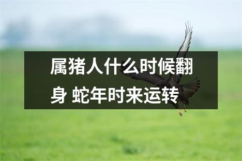 属猪人什么时候翻身蛇年时来运转