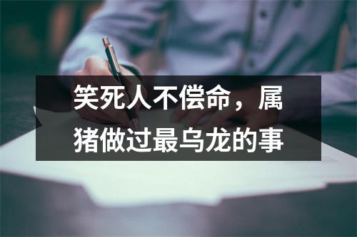 笑死人不偿命，属猪做过乌龙的事