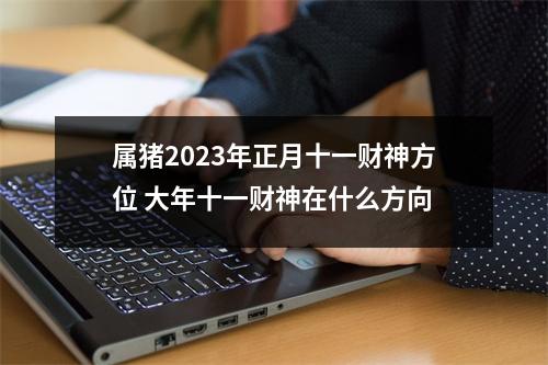属猪2025年正月十一财神方位大年十一财神在什么方向