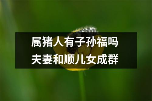 属猪人有子孙福吗夫妻和顺儿女成群