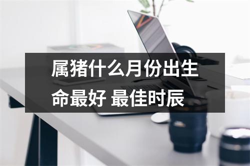 属猪什么月份出生命好佳时辰