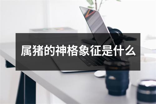 属猪的神格象征是什么