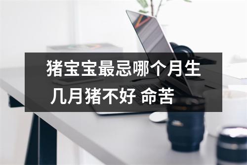 猪宝宝忌哪个月生几月猪不好命苦