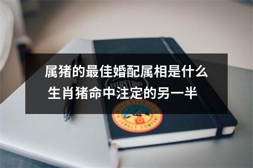属猪的佳婚配属相是什么生肖猪命中注定的另一半