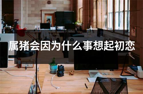 属猪会因为什么事想起初恋