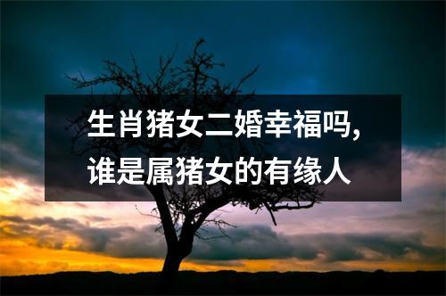 <h3>生肖猪女二婚幸福吗,谁是属猪女的有缘人