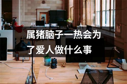 属猪脑子一热会为了爱人做什么事