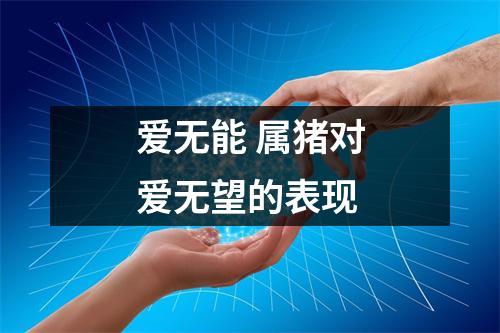 爱无能属猪对爱无望的表现