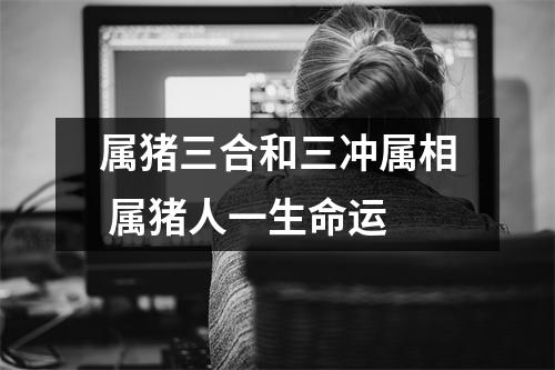 属猪三合和三冲属相属猪人一生命运