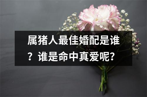 属猪人佳婚配是谁？谁是命中真爱呢？