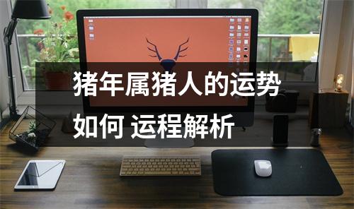 猪年属猪人的运势如何运程解析