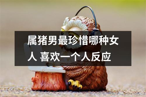 属猪男珍惜哪种女人喜欢一个人反应