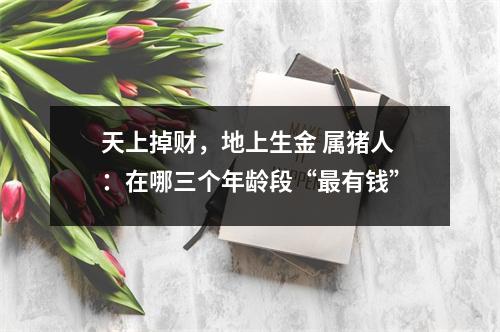 天上掉财，地上生金属猪人：在哪三个年龄段“有钱”