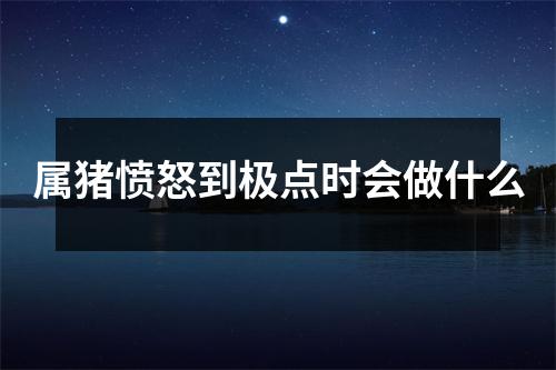 属猪愤怒到极点时会做什么