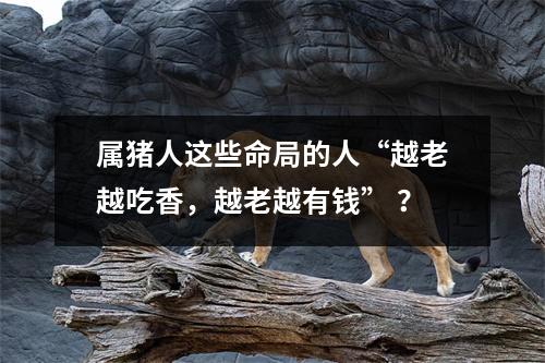 属猪人这些命局的人“越老越吃香，越老越有钱”？