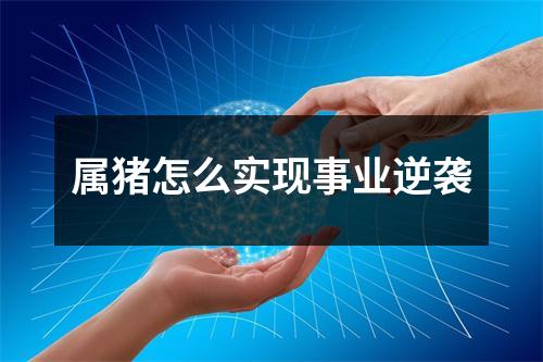 属猪怎么实现事业逆袭