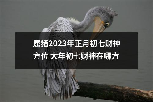 属猪2025年正月初七财神方位大年初七财神在哪方