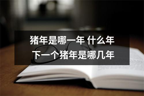 猪年是哪一年什么年下一个猪年是哪几年
