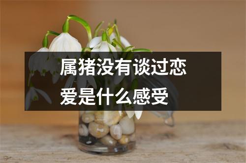 属猪没有谈过恋爱是什么感受